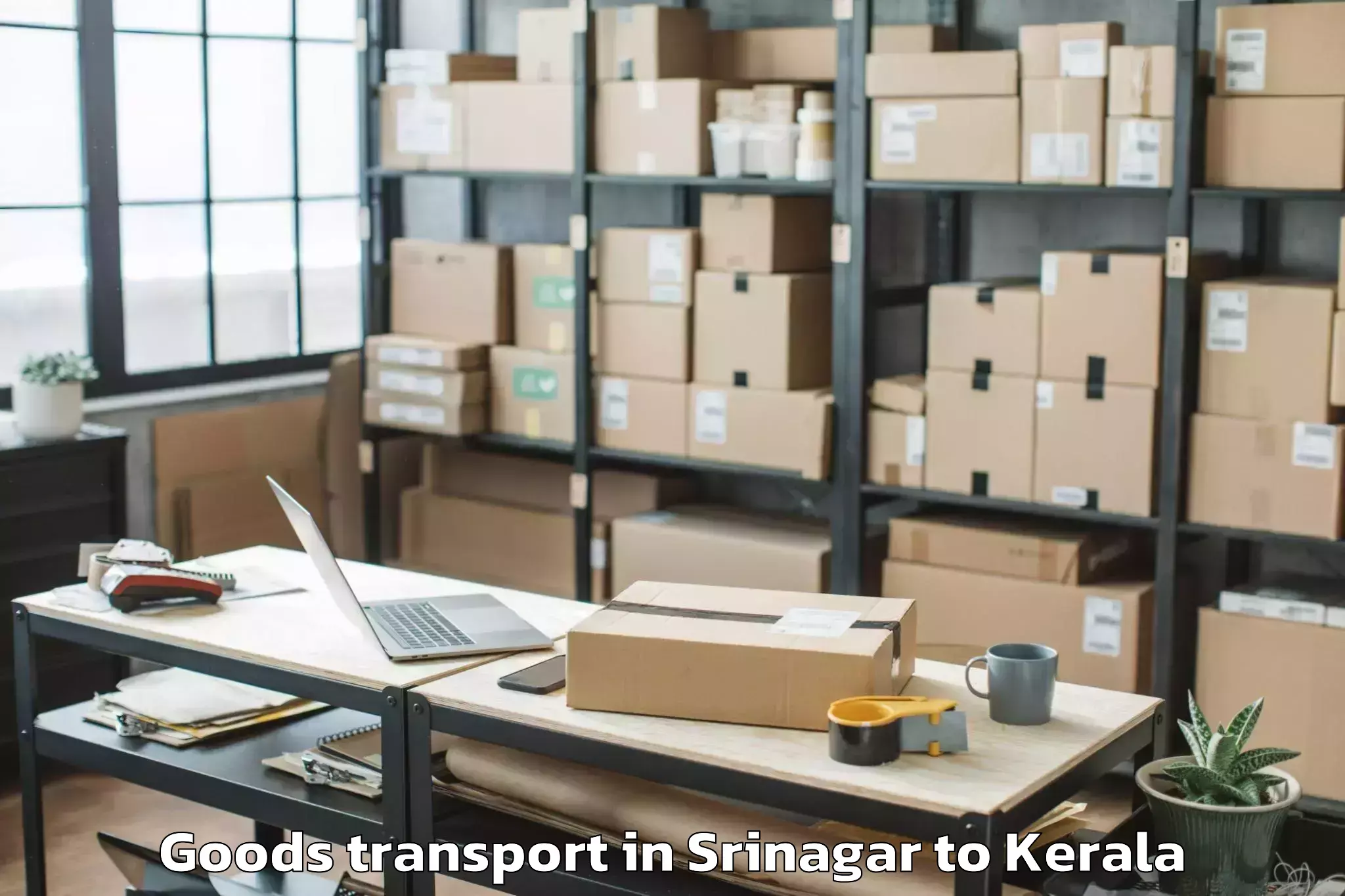 Affordable Srinagar to Valanchery Goods Transport